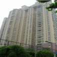 菊園 菊園