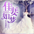 佳妻如夢(年華朝露創作的網路小說作品) 佳妻如夢(年華朝露創作的網路小說作品)