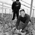 宋留志 宋留志