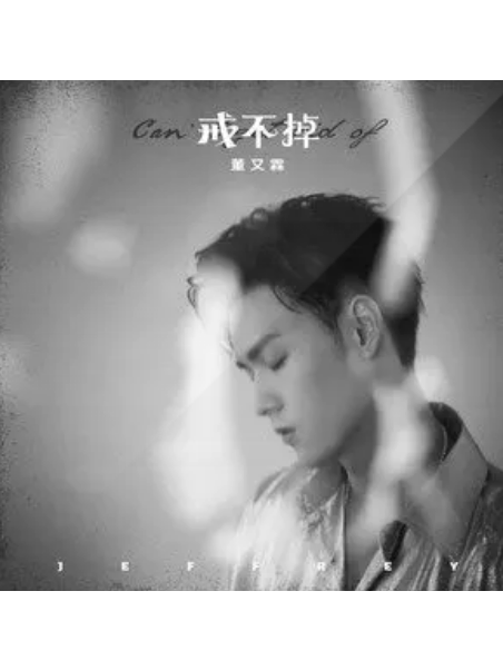 戒不掉(董又霖演唱的歌曲) 戒不掉(董又霖演唱的歌曲)
