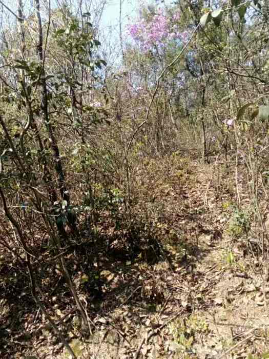 六崗山 六崗山