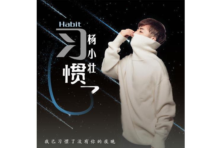 習慣了(楊小壯演唱歌曲) 習慣了(楊小壯演唱歌曲)