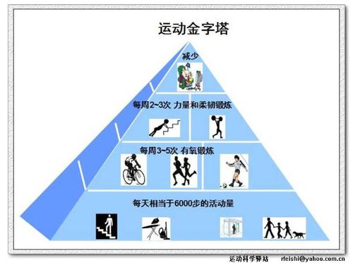 運動金字塔