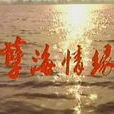 孽海情緣(1996年許雷執導電視劇) 孽海情緣(1996年許雷執導電視劇)