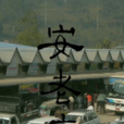 安老衣 安老衣