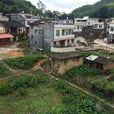 上畲村(廣東省梅州市梅縣區上畲村) 上畲村(廣東省梅州市梅縣區上畲村)