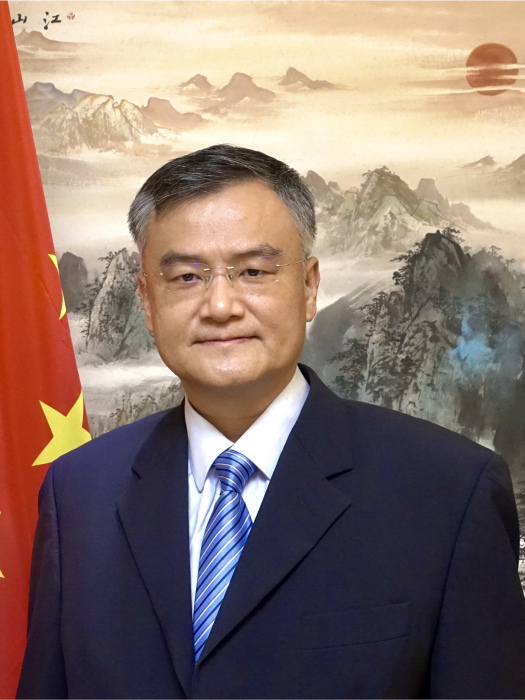 陳泳(中華人民共和國駐巴塔總領事) 陳泳(中華人民共和國駐巴塔總領事)