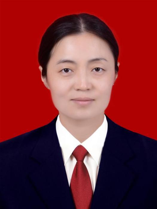 王琨(陝西省商洛市商南縣人民政府副縣長)