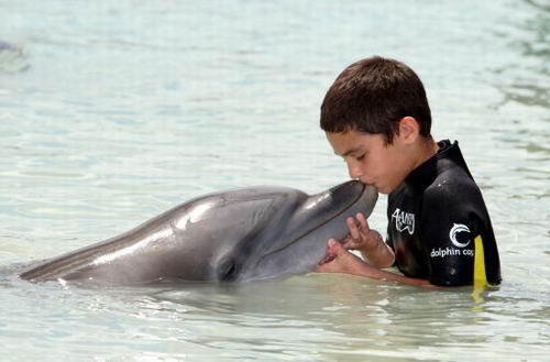 海豚男孩