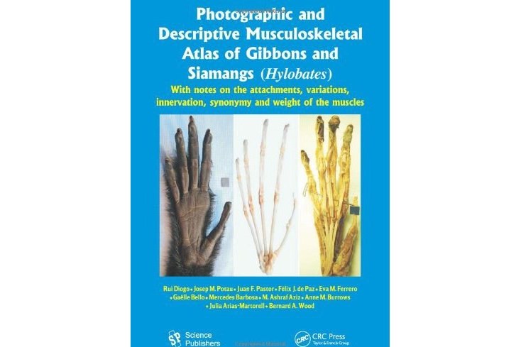 Photographic and Descriptive Musculoskeletal Atlas of Gibbons and Siamangs Photographic and Descriptive Musculoskeletal Atlas of Gibbons and Siamangs