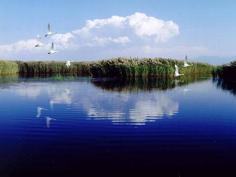 納林湖生態旅遊區
