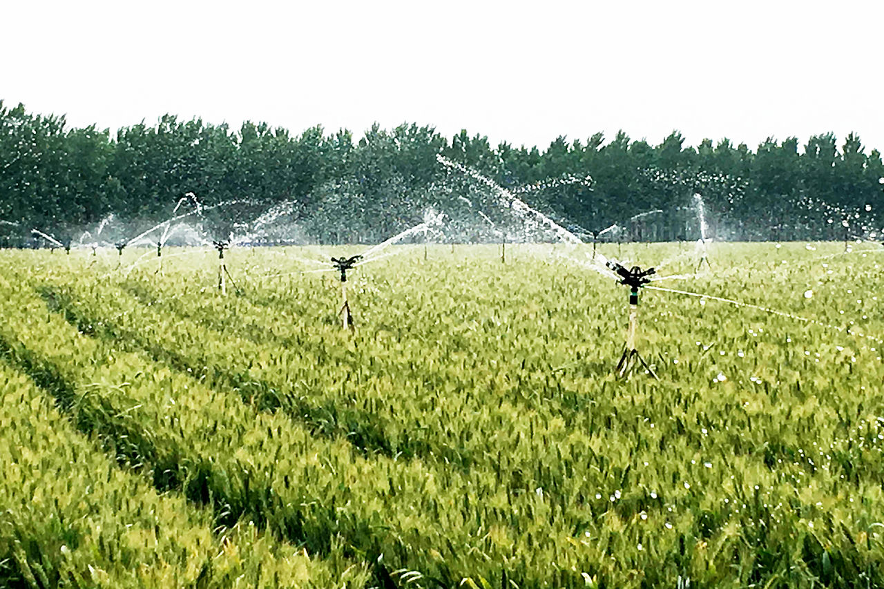 高效節水灌溉
