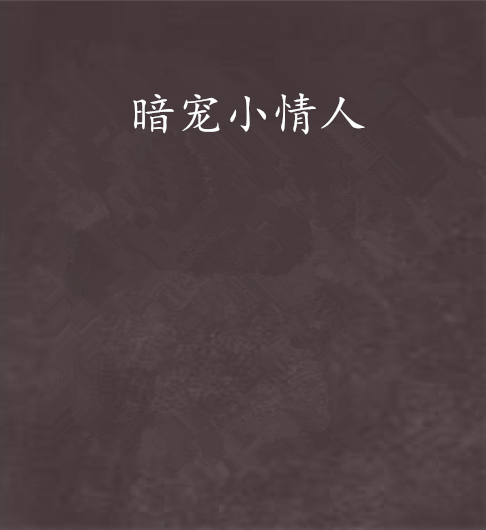 暗寵小情人 暗寵小情人