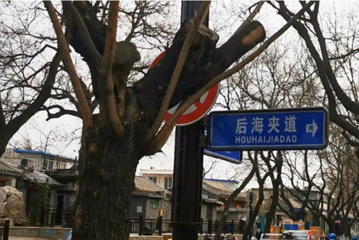 後海夾道 後海夾道