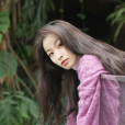 文婕(中國內地女演員) 文婕(中國內地女演員)