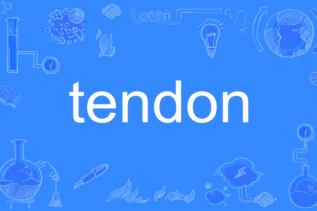 tendon tendon