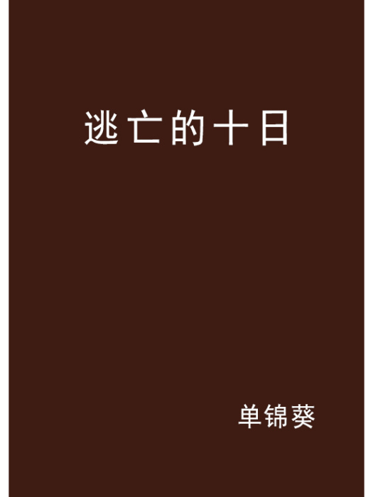 逃亡的十日