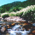 二龍河(寧夏涇源縣涇河二龍河) 二龍河(寧夏涇源縣涇河二龍河)
