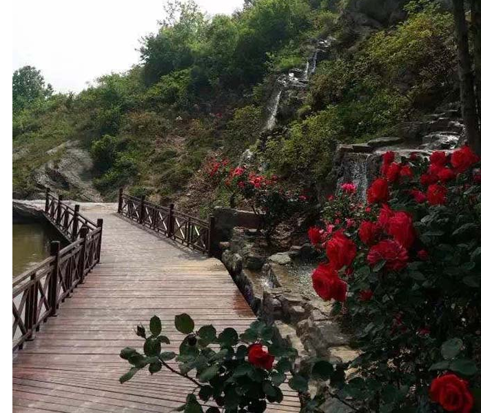武漢木蘭玫瑰花園