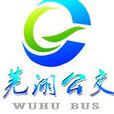 蕪湖公交 蕪湖公交