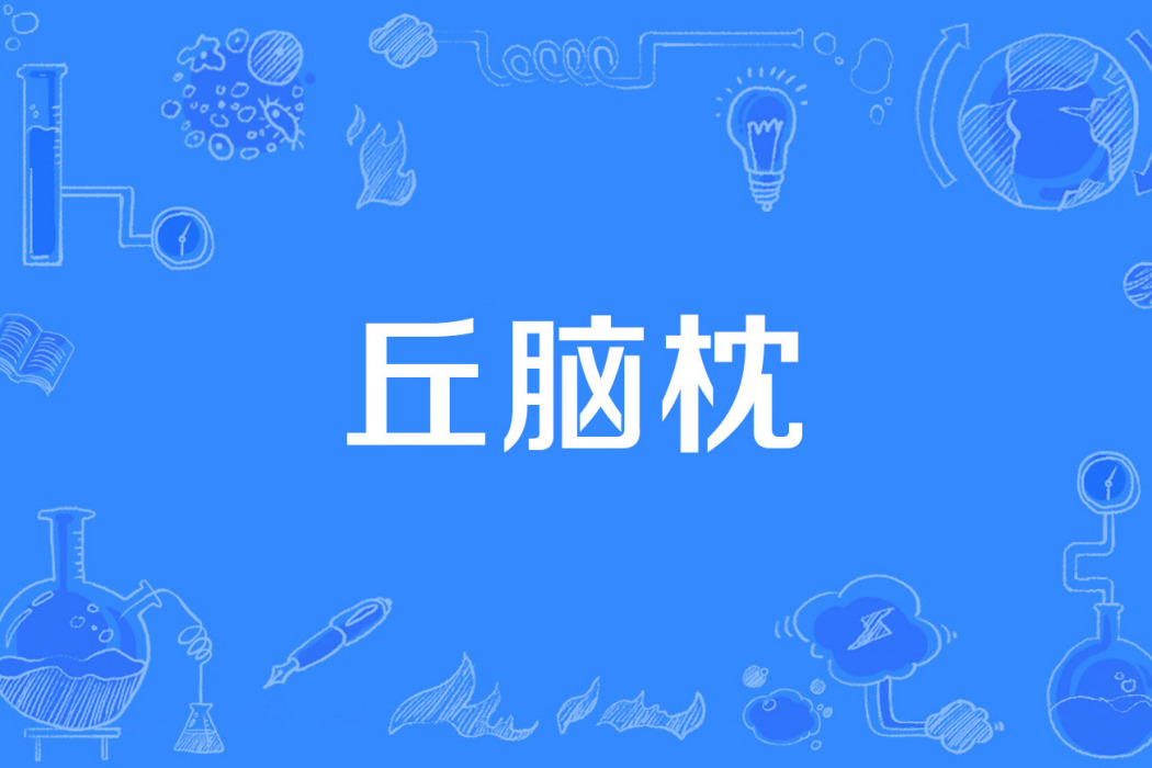 丘腦枕 丘腦枕