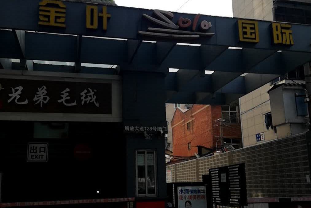 金葉國際 金葉國際