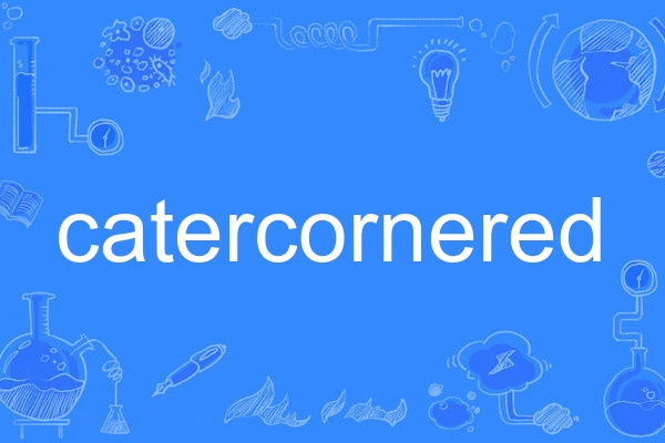 catercornered catercornered