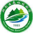 湖南省森林植物園 湖南省森林植物園