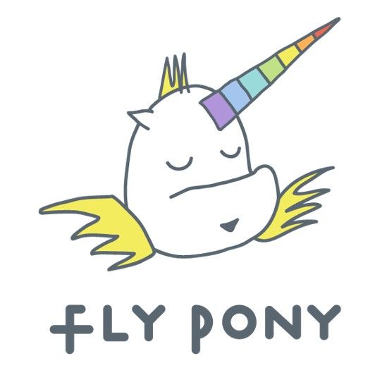 FLY PONY FLY PONY