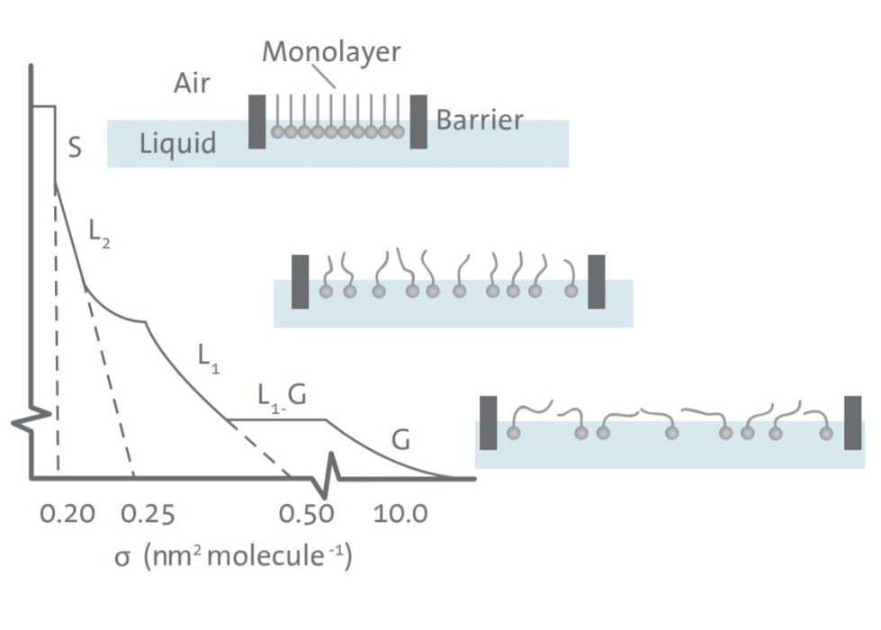 Langmuir-Blodgett膜 Langmuir-Blodgett膜