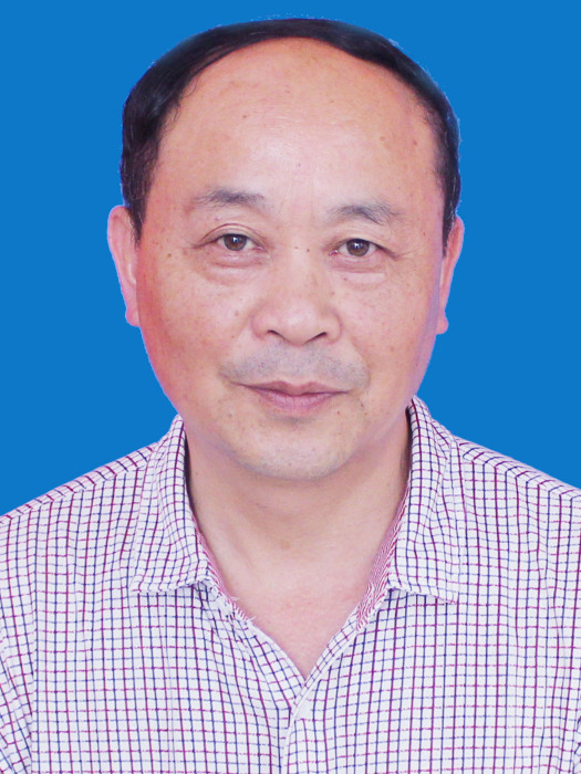 金新村(崇陽縣民政局黨組成員) 金新村(崇陽縣民政局黨組成員)