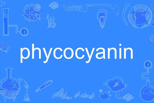phycocyanin phycocyanin