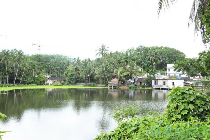 抄茂村 抄茂村