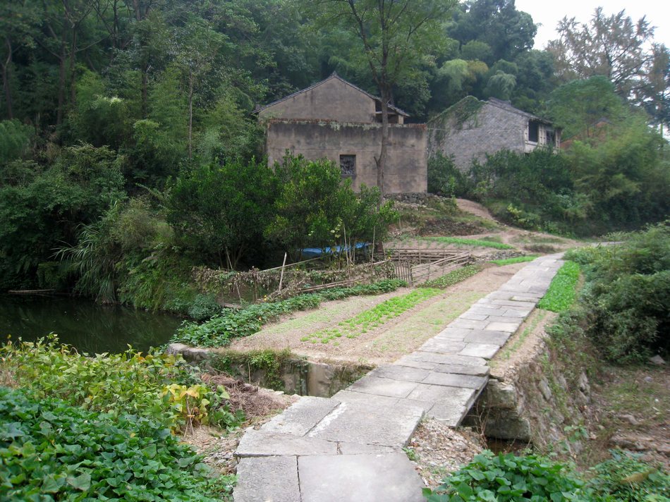 沙陂村