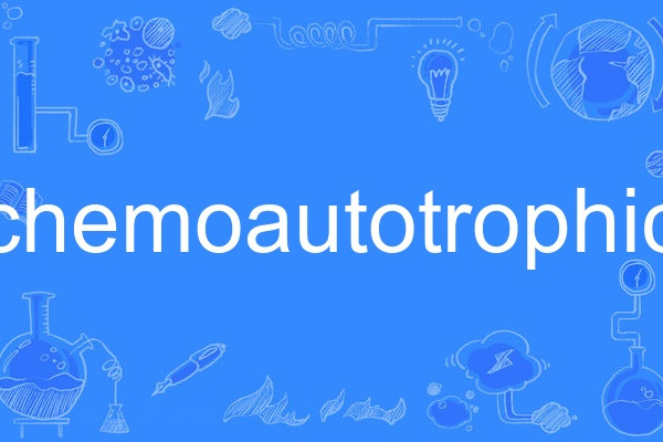 chemoautotrophic chemoautotrophic