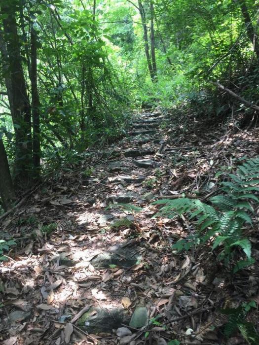 義方古道 義方古道