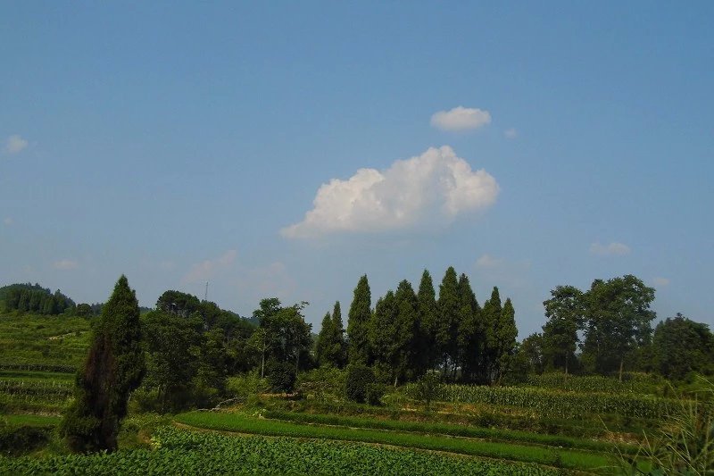 新場合水村 新場合水村