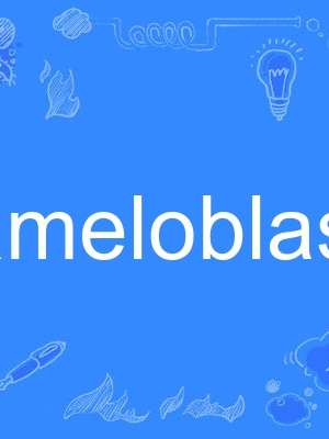 ameloblast ameloblast