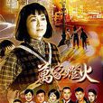 萬家燈火(2003年馮寶寶主演香港電視連續劇)