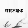 綜我不是你 綜我不是你