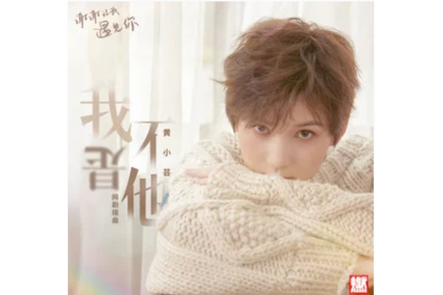 我不是他(黃小芸演唱歌曲) 我不是他(黃小芸演唱歌曲)