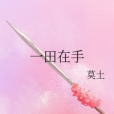 一田在手 一田在手