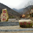 九天山 九天山