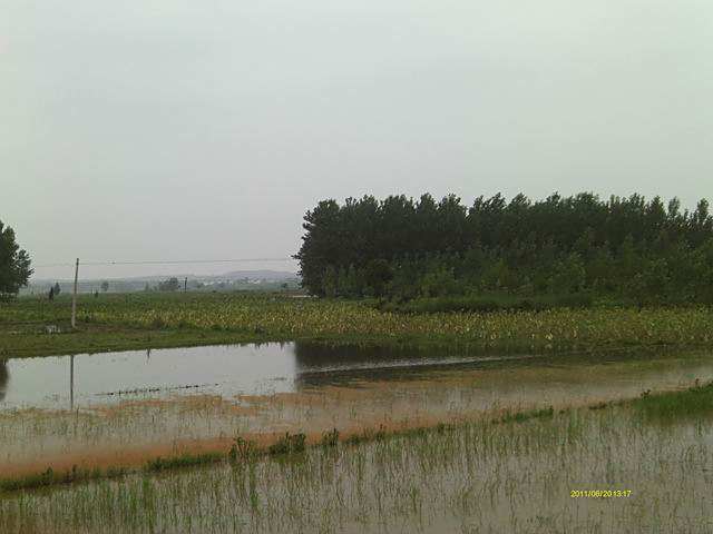 福川村