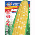 贛甜三號 贛甜三號