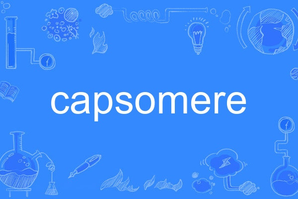 capsomere capsomere