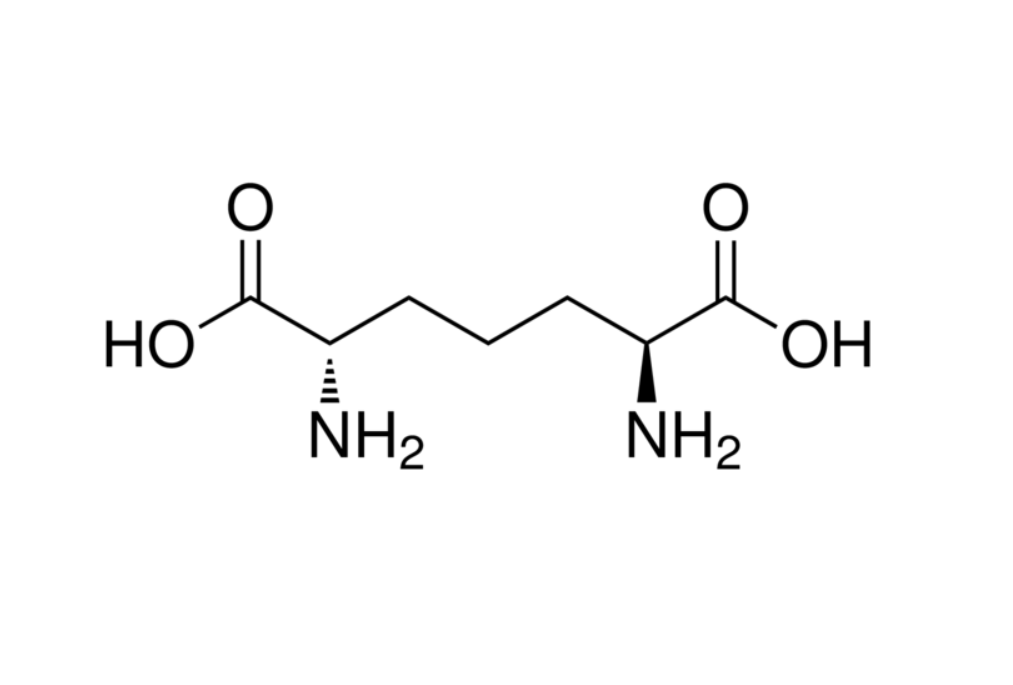 二氨基庚二酸