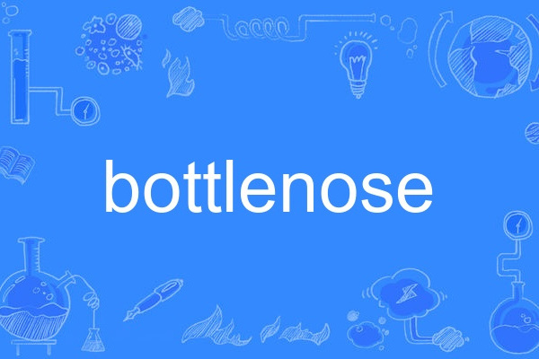 bottlenose bottlenose