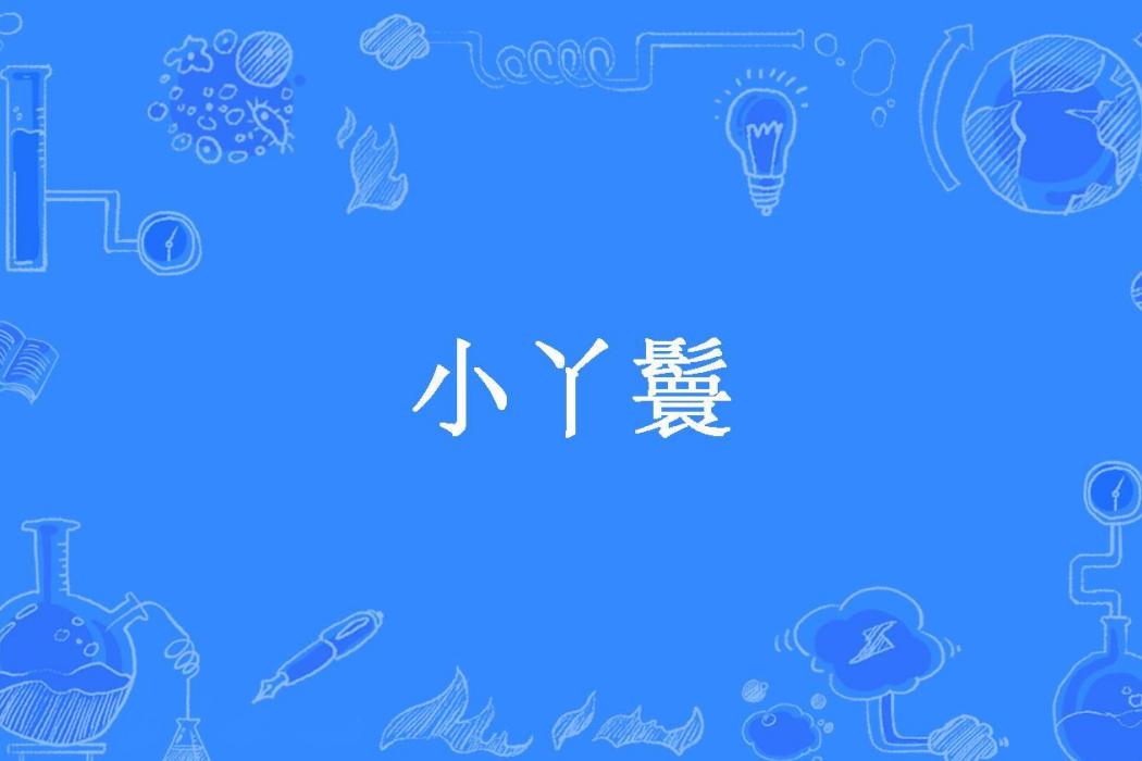小丫鬟(秋李子所著小說) 小丫鬟(秋李子所著小說)