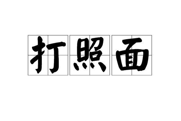 打照面 打照面
